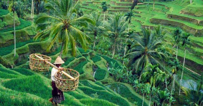 Pinterest.com/Khusboo Mehta